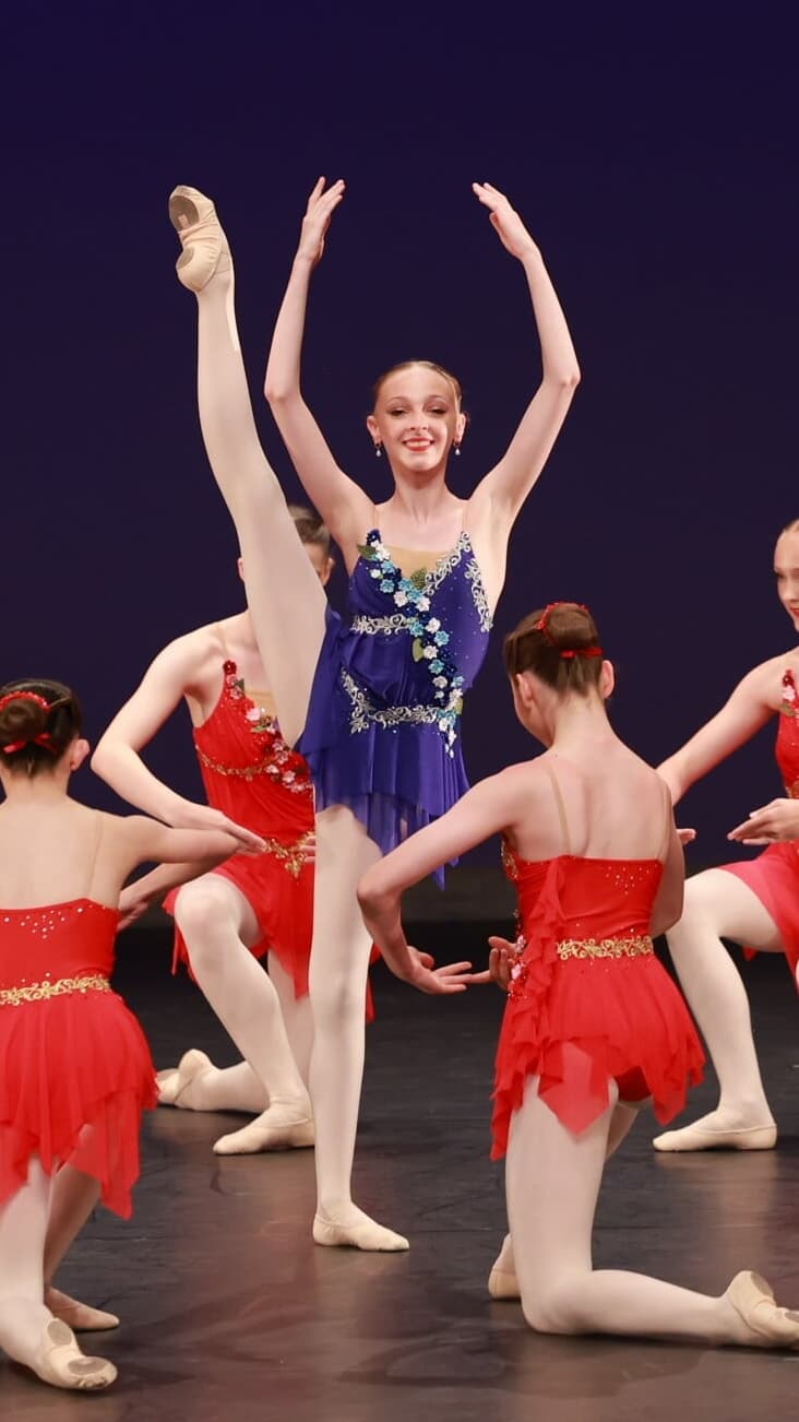 Poppies Ballet Dress thumbnail 2