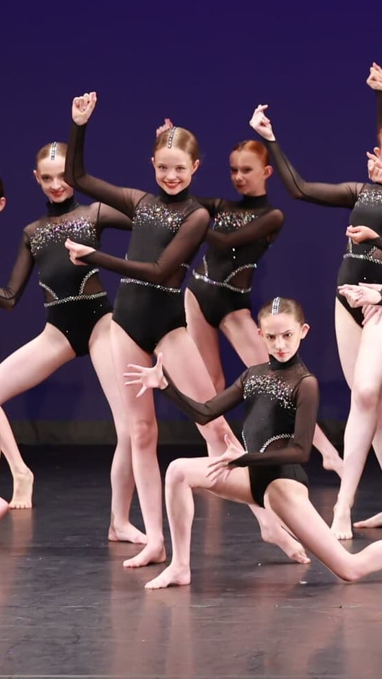 Wiessman Bye Bye Blackbird Black Leotard thumbnail 2