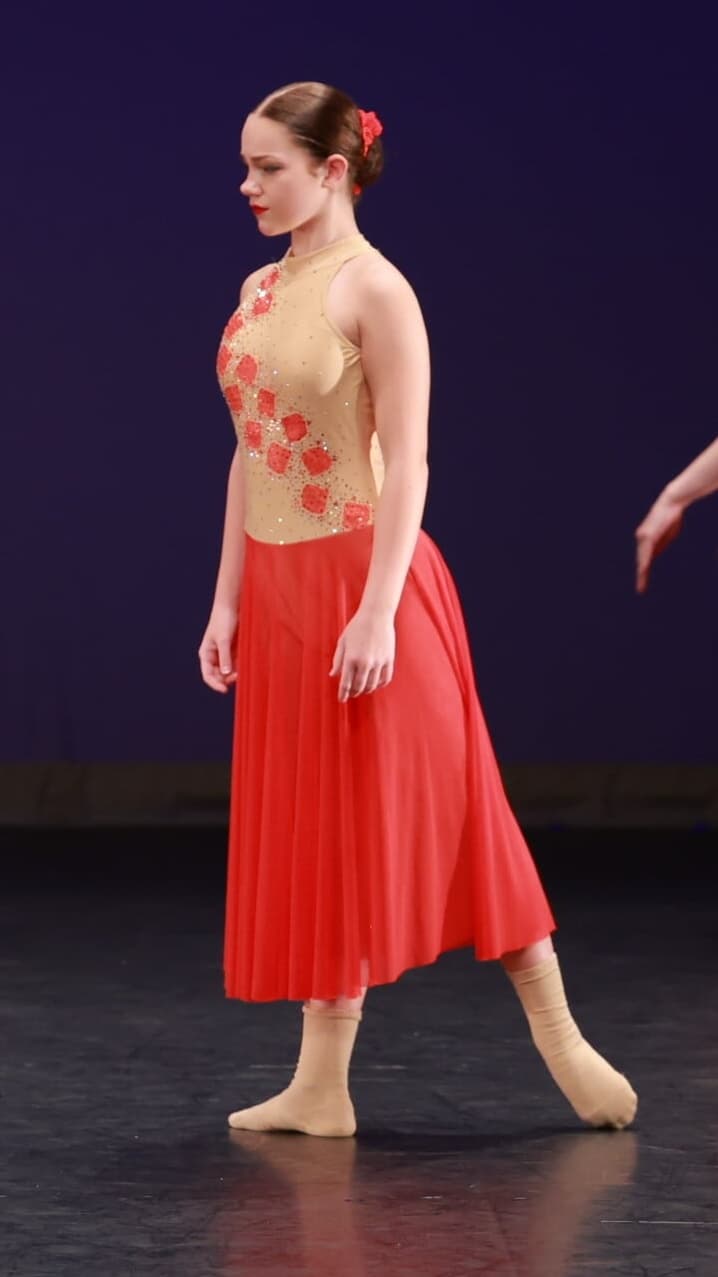The Rose Nude and Red Dress - Image 1