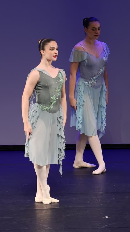 Elements Ballet Dress - Image 1