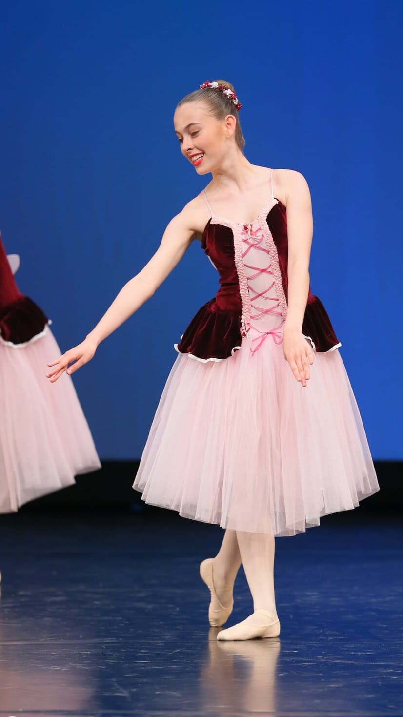 Burgundy Romantic Tutu with Wings - Image 1