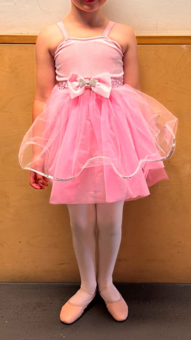 Weissman Tutu (Purple, Pink & Blue) thumbnail 2