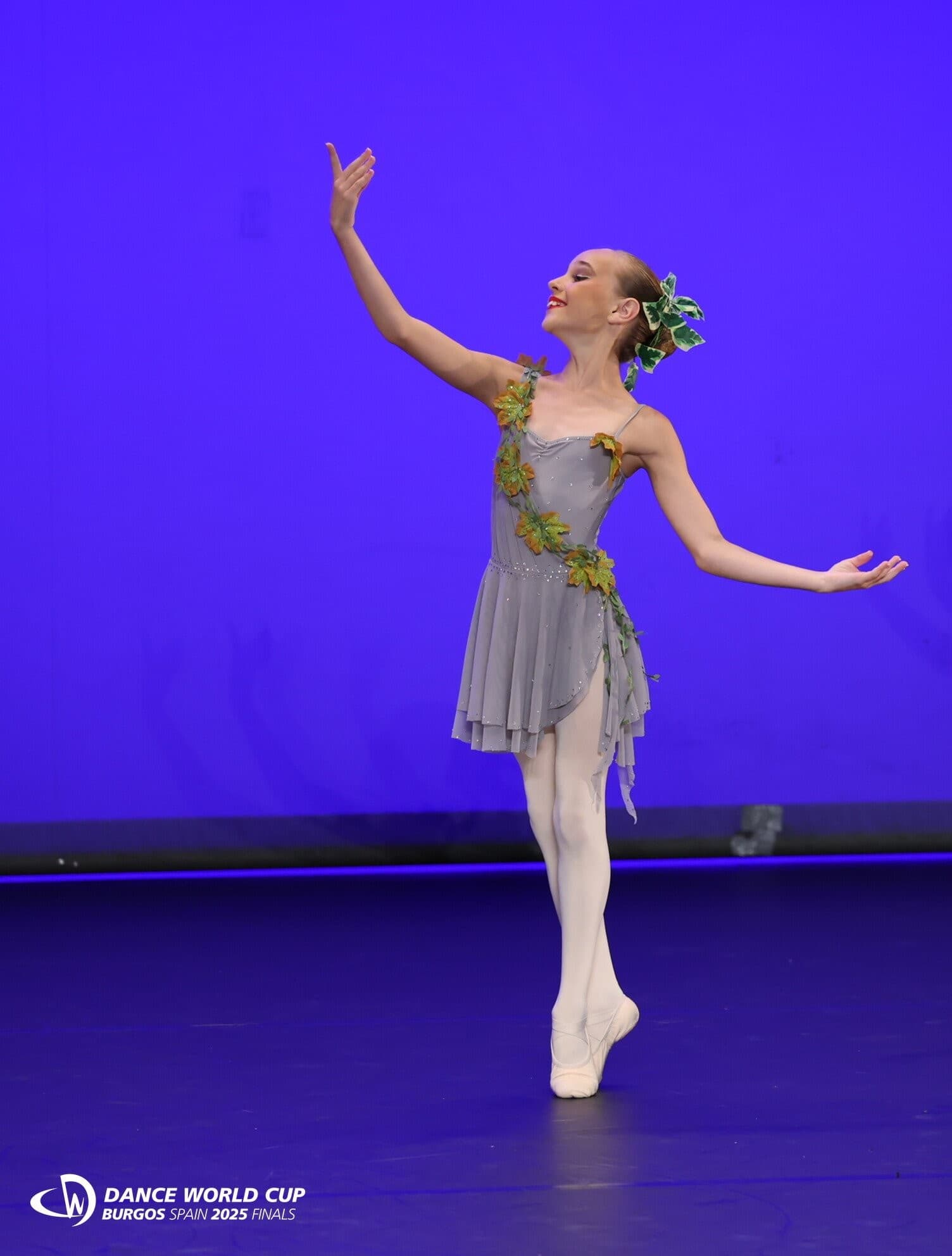 Statues Grey Ballet Dress - Image 1