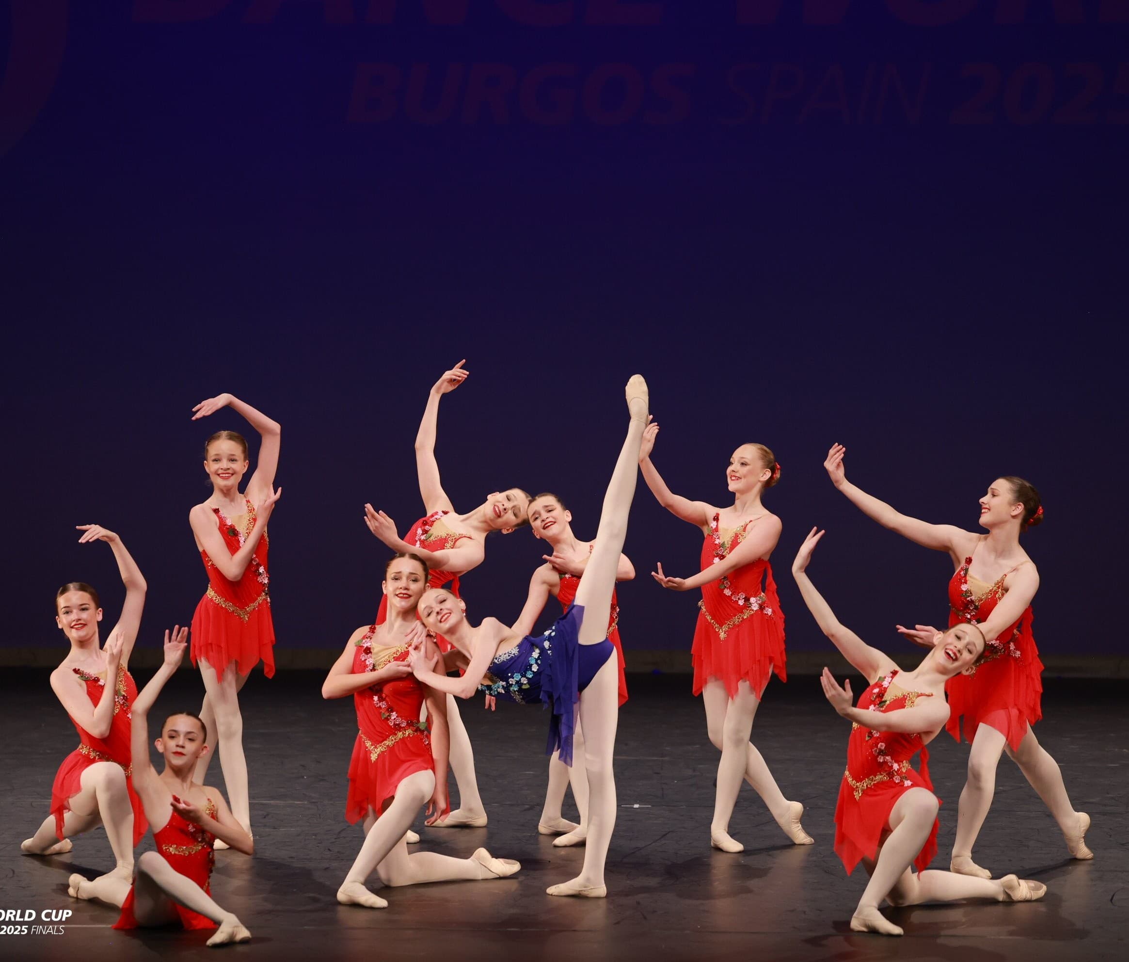 Poppies Ballet Dress - Image 1