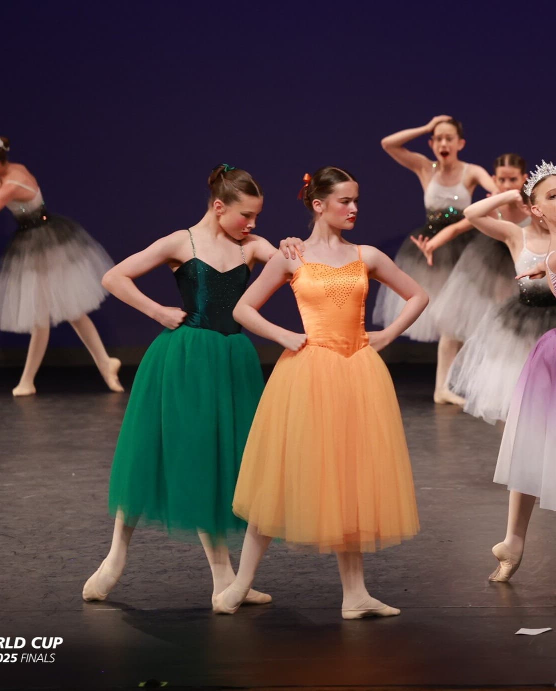 Cinderella Evil Step Sisters Romantic Tutu - Image 1