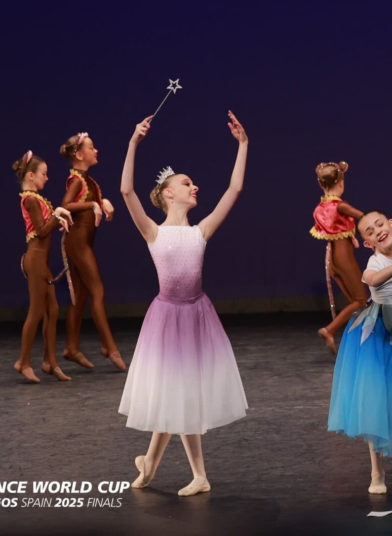 Cinderella Fairy Godmother Leotard and Skirt - Image 1