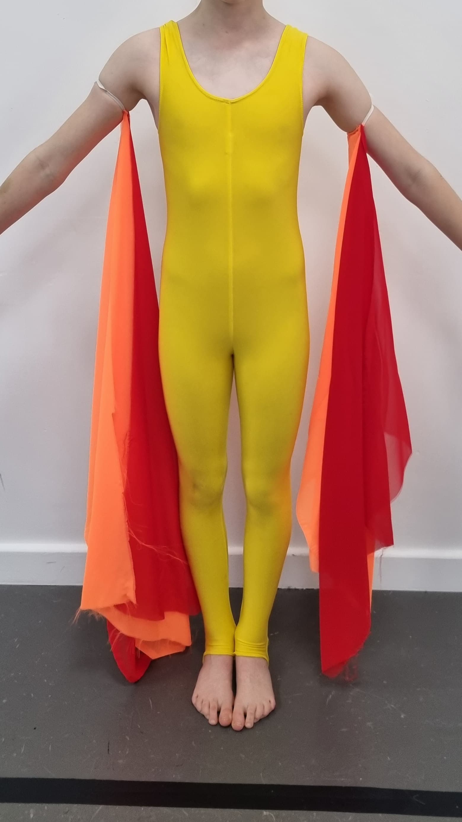 Orange and Red Wings (Individual Arms) - Image 1