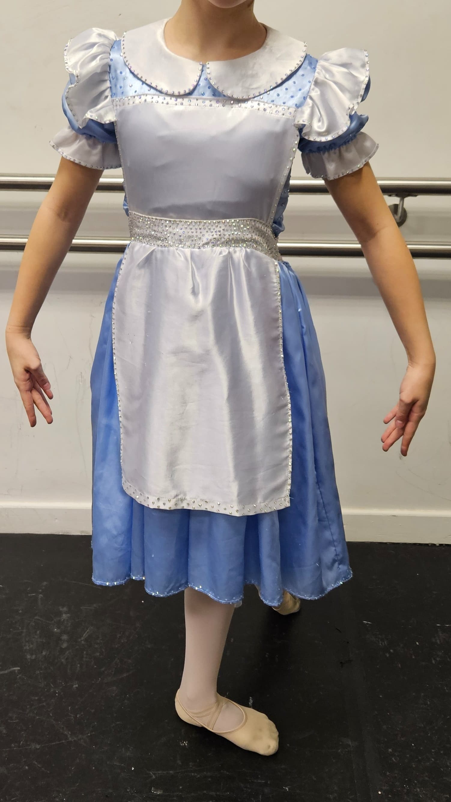 Alice in Wonderland Blue Dress - Image 1