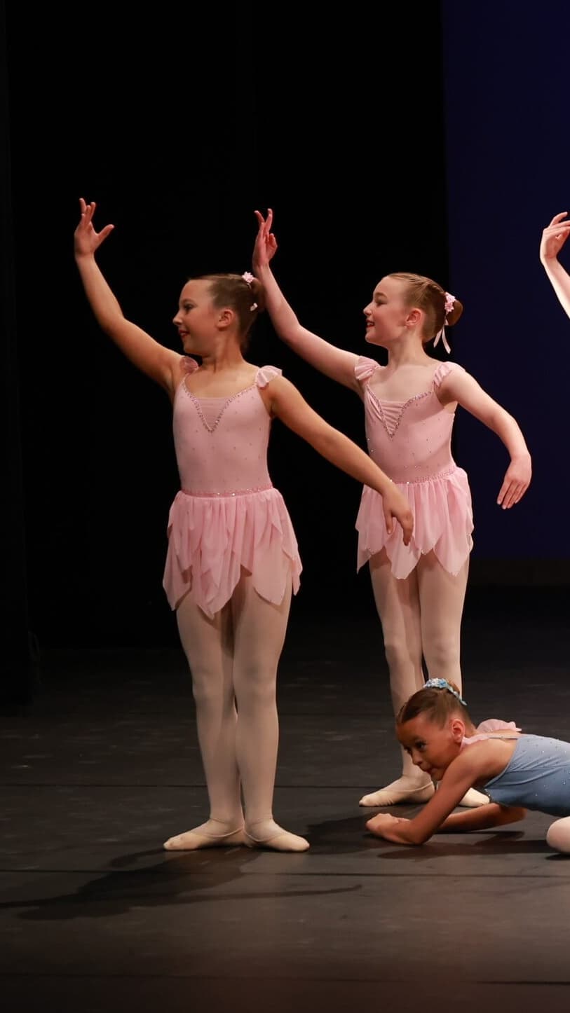Midsummer Nights Dream Fairy Dress - Image 1
