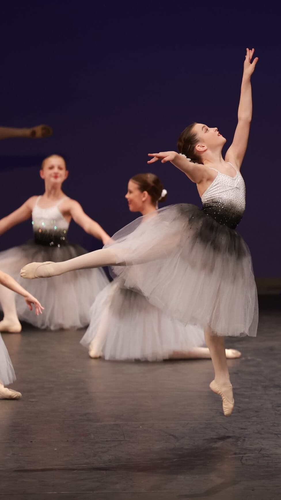 1st Position Ombré Romantic Tutu - Image 1