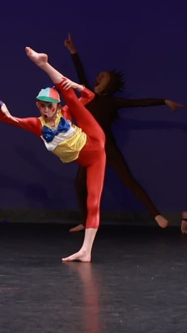 Alice in Wonderland Tweedle Dum Catsuit - Image 1
