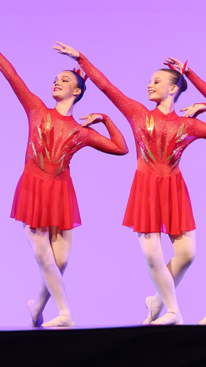 Phoenix Red Dress - Image 1